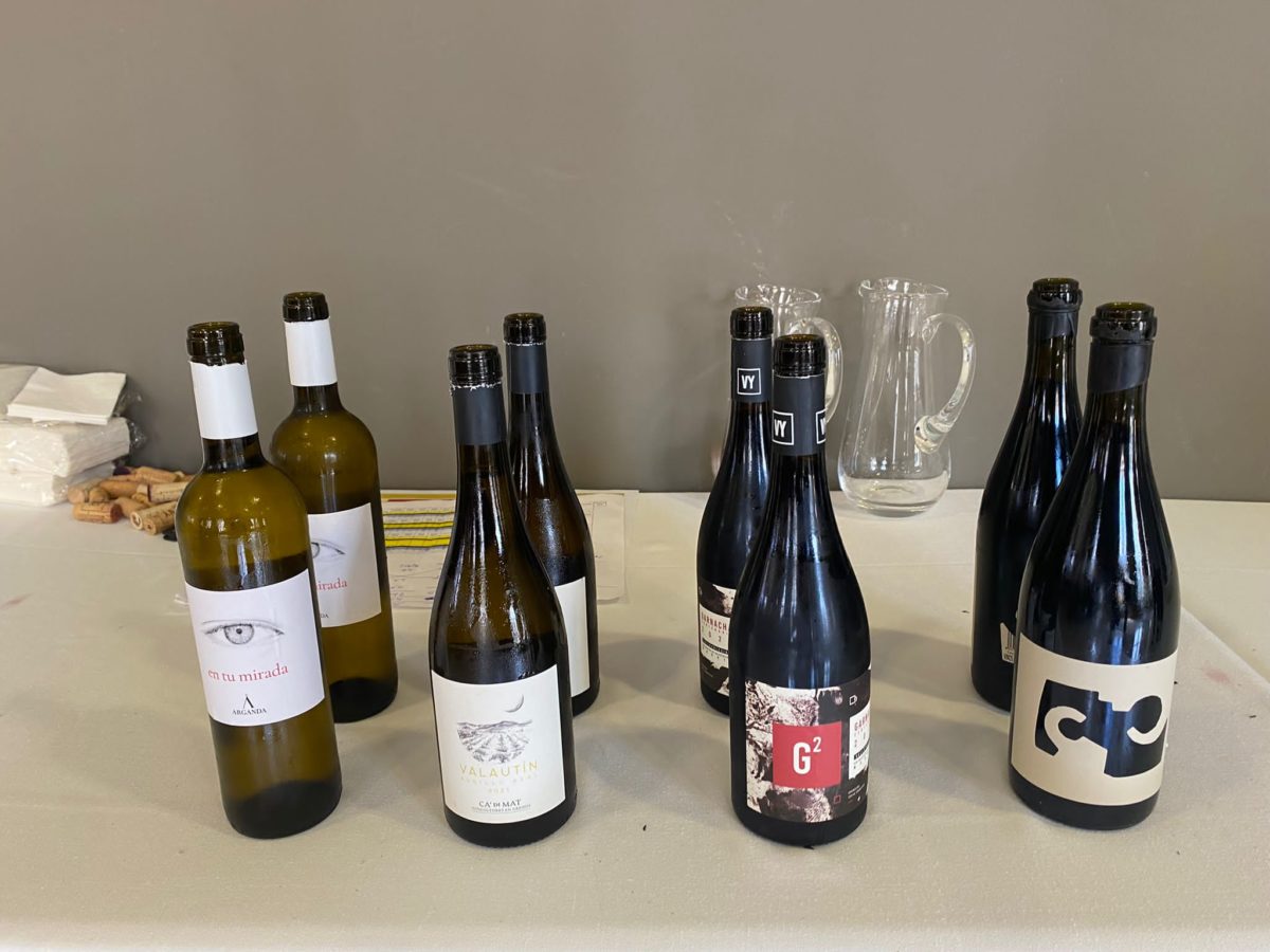 Cata y ponencia de Vinos de Madrid en Jerez