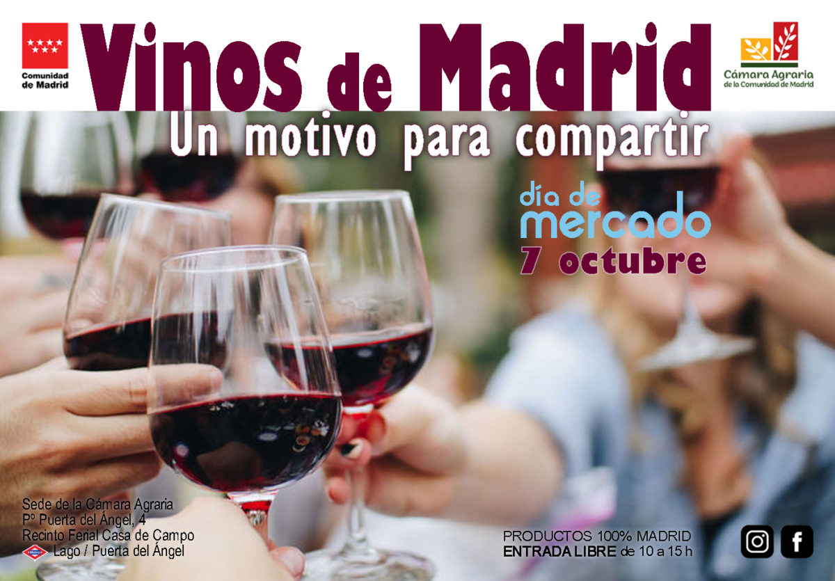 Día de Mercado Vinos de Madrid