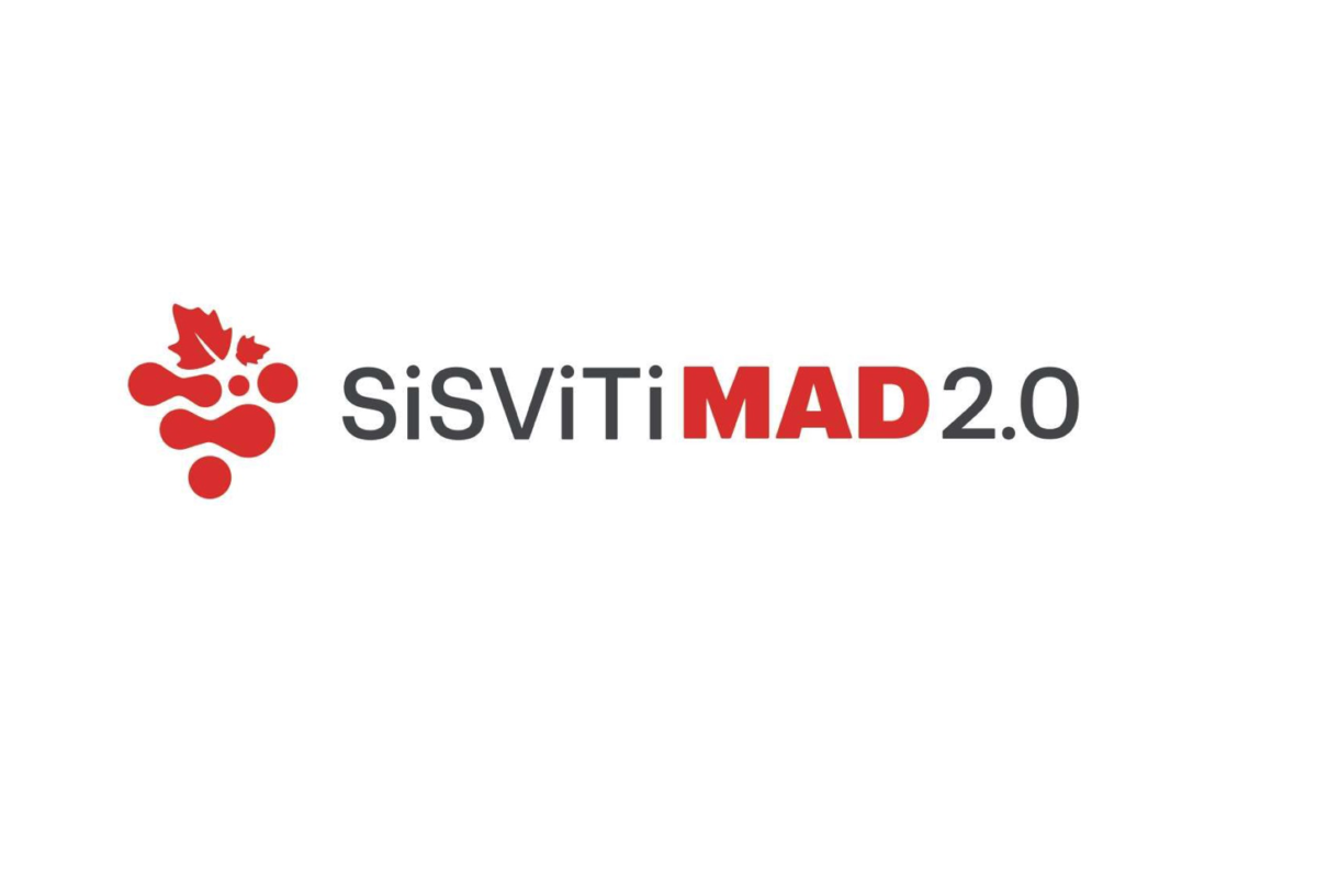 Logo SiSViTiMAD 2.0