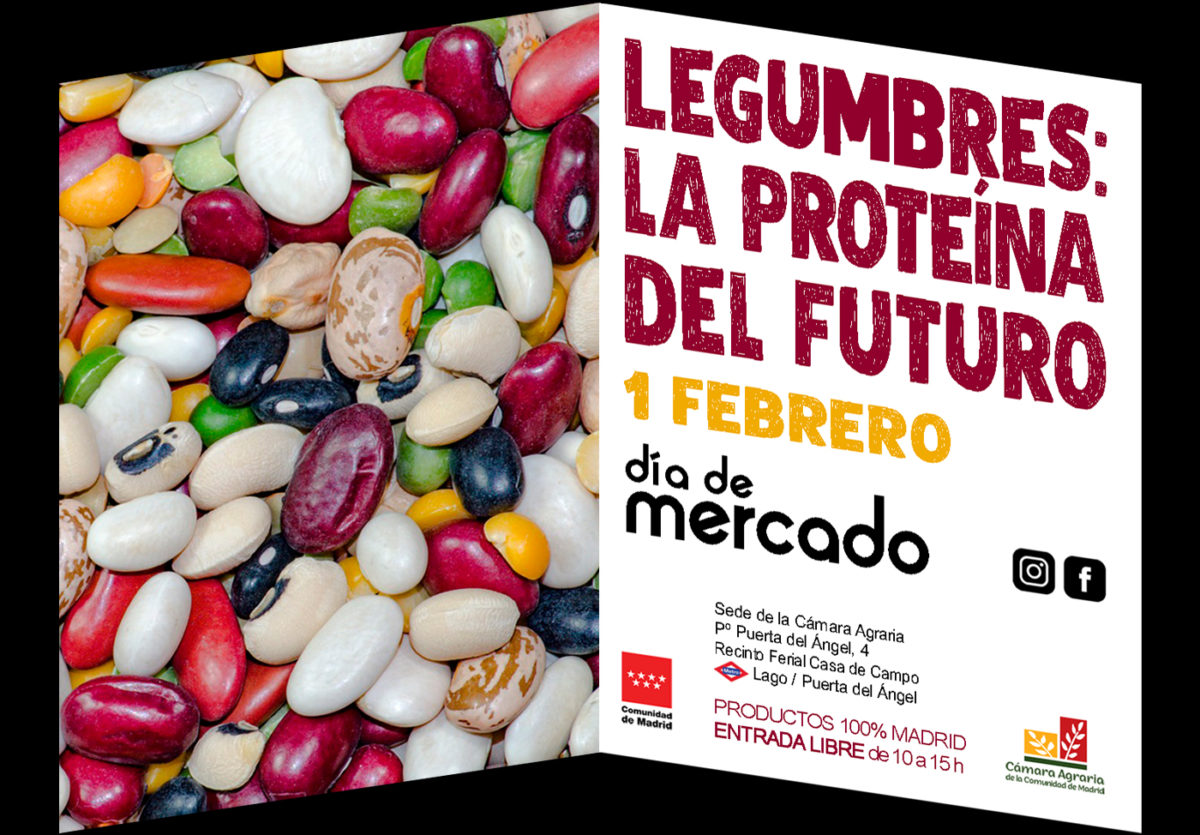 Día de mercado. Legumbres: la proteína del futuro